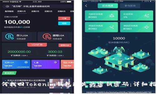 如何找回Tokenim钱包遗失的密钥密码：详细指南