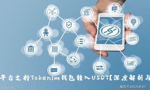 哪些平台支持Tokenim钱包转入USDT？深度解析与推荐