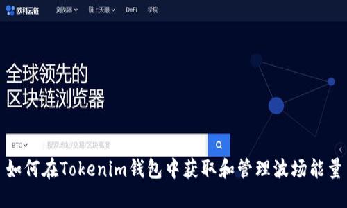 如何在Tokenim钱包中获取和管理波场能量