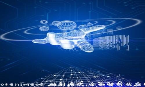 
Tokenimeos 映射两次：全面解析及应用