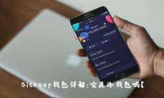 BitKeep钱包详解：它是冷钱包吗？