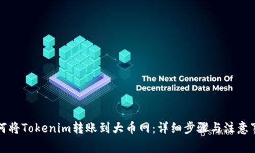 如何将Tokenim转账到大币网：详细步骤与注意事项