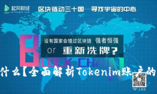 Tokenim是什么？全面解析Tokenim账户的功能与优势