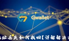 Tokenim钱包地址丢失如何找回？详解解决方案与注