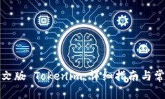 如何下载中文版 Tokenim：详细指南与常见问题解答