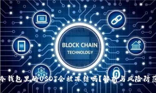 冷钱包里的USDT会被冻结吗？解析与风险防范