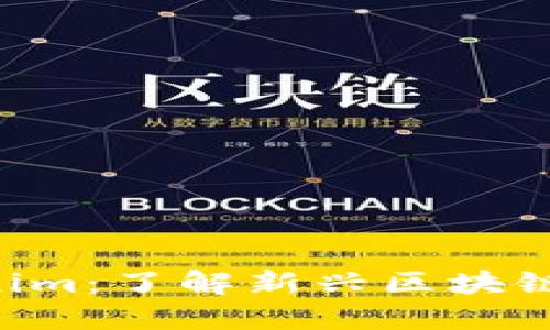 MGCToken与Tokenim：了解新兴区块链项目的潜力与挑战