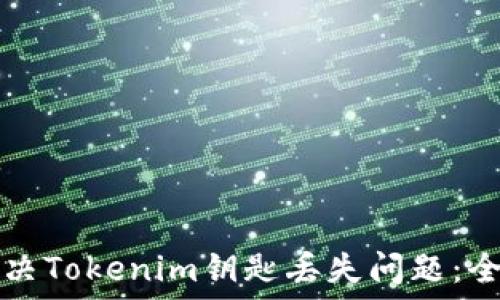   
如何解决Tokenim钥匙丢失问题：全面指南
