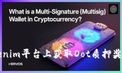 如何在Tokenim平台上获取Dot质押奖励详细指南