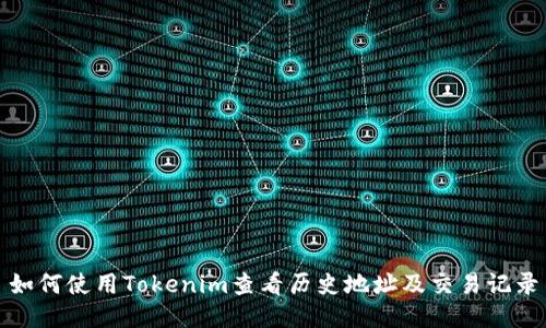 如何使用Tokenim查看历史地址及交易记录