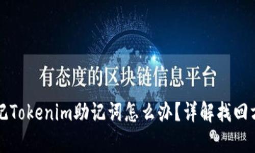 忘记Tokenim助记词怎么办？详解找回方法